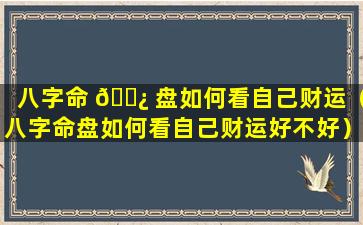 八字命 🌿 盘如何看自己财运（八字命盘如何看自己财运好不好）